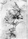 Studio di figura femminile (recto); Studio di figure per scena apocalittica (verso)
